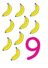 afbeelding 9