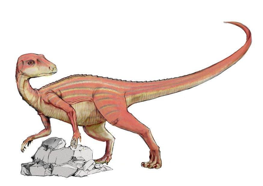 Afbeelding Abrictosaurus dinosaurus