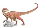 Afbeeldingen Abrictosaurus dinosaurus