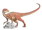 Abrictosaurus dinosaurus