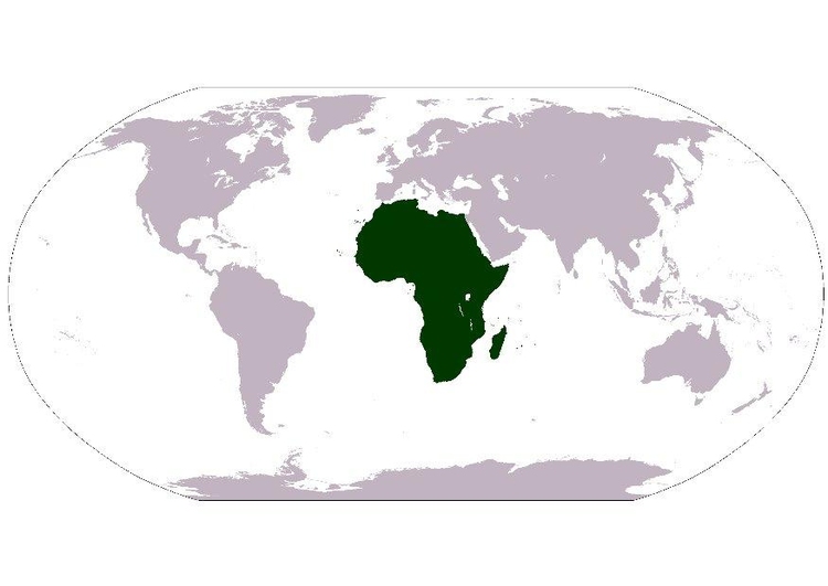 Afbeelding Afrika