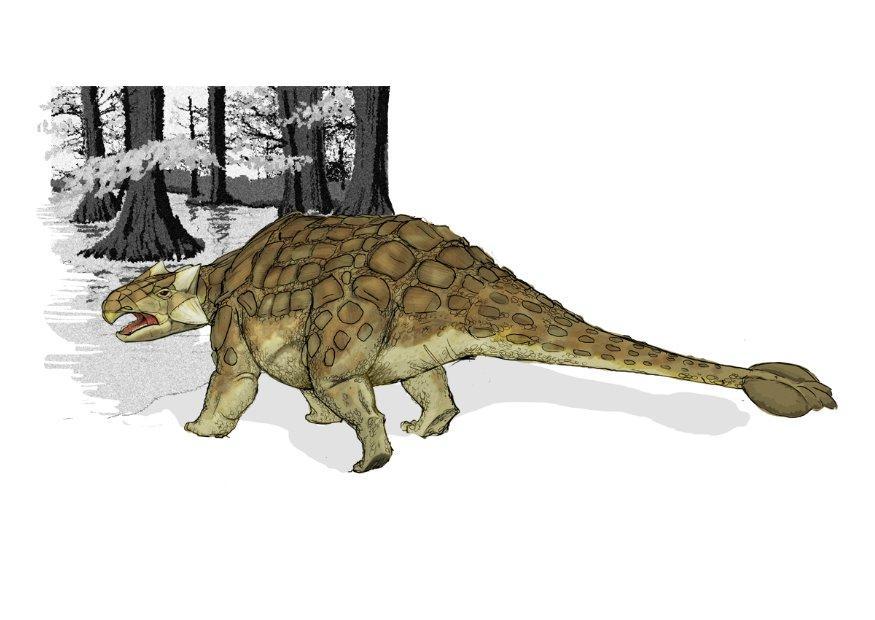 Afbeelding Ankylosaurus