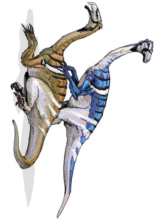 Nanshiungosaurus dinosaurus