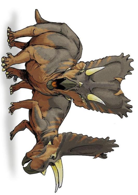 Pentaceratops dinosaurus