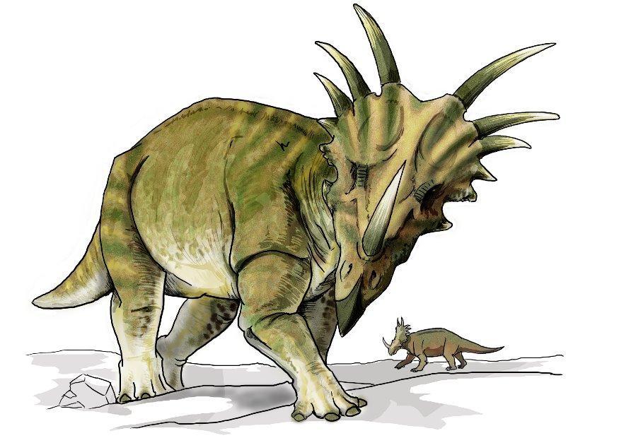Afbeelding Styracosaurus dinosaurus