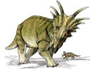 Afbeeldingen Styracosaurus dinosaurus