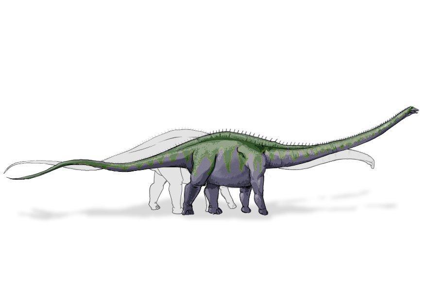 Afbeelding Supersaurus dinosaurus