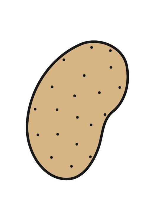 aardappel 
