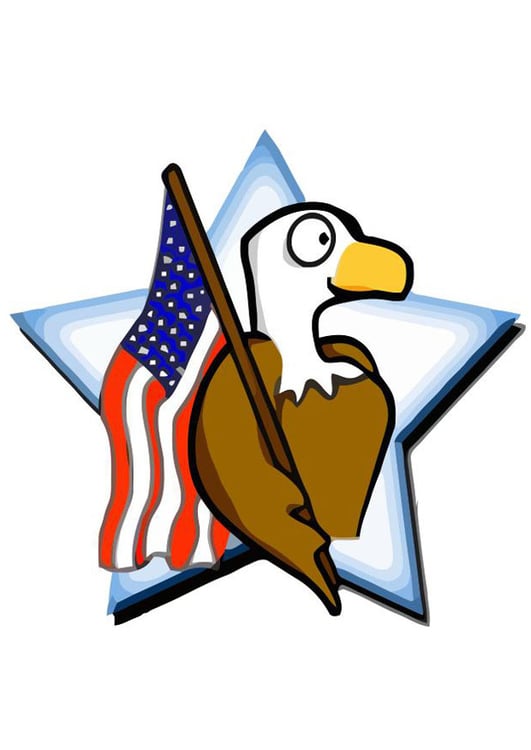 Afbeelding Amerikaanse vlag met adelaar