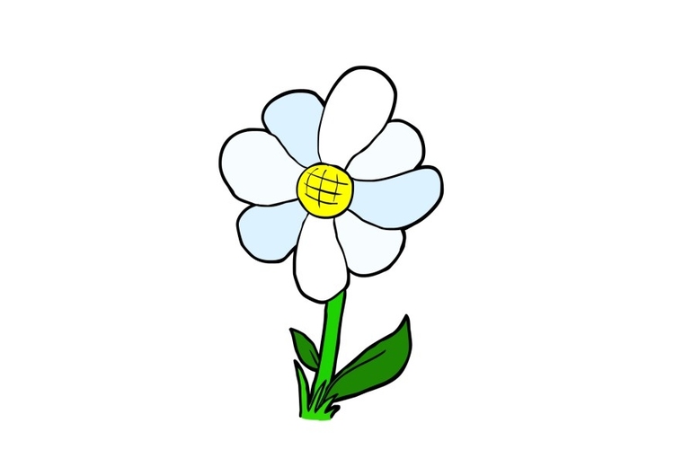 Afbeelding bloem