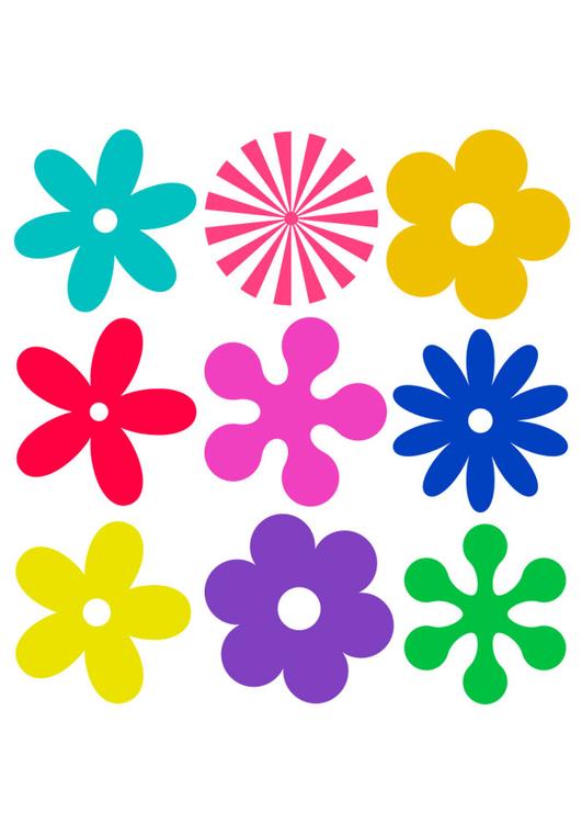 bloemen