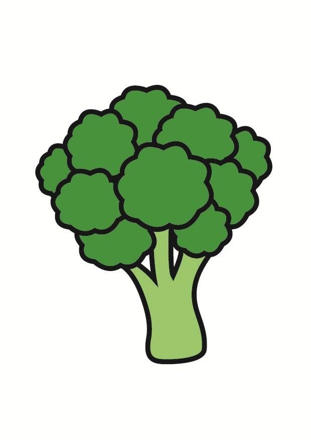 Afbeelding brocoli 