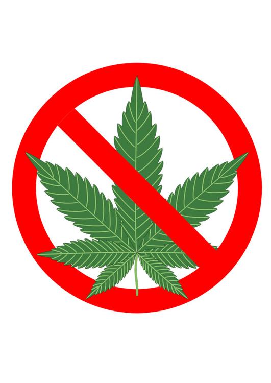 cannabis verboden