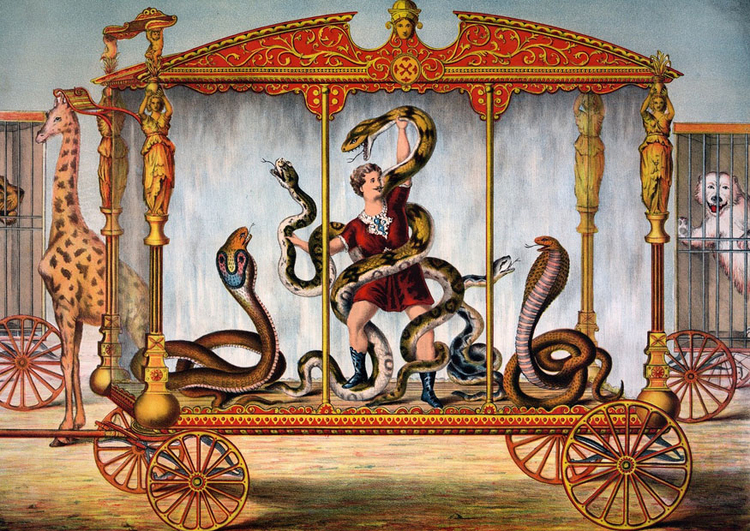 Afbeelding circus