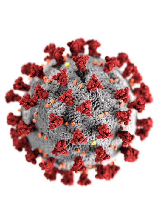 Afbeelding coronavirus