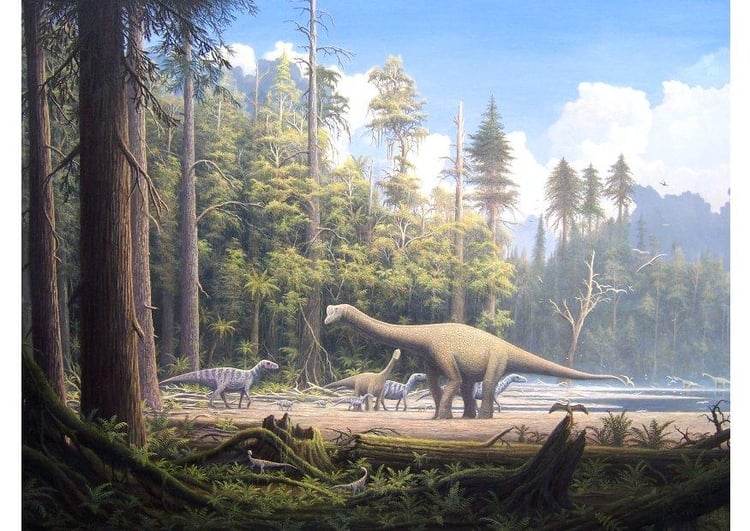 Afbeelding dinosaurussen
