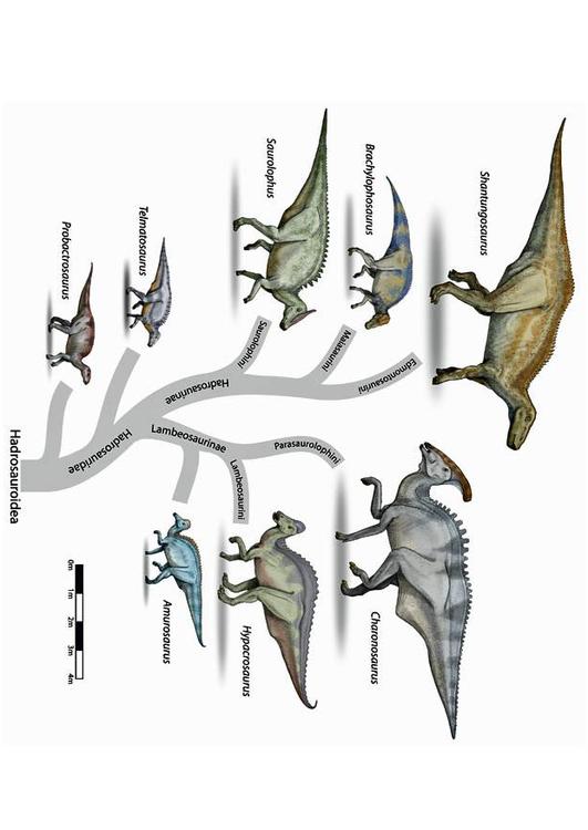 dinosaurussen evolutie
