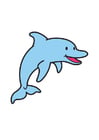 Afbeelding dolfijn