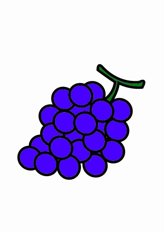 Afbeelding druiven