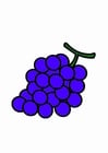 Afbeeldingen druiven