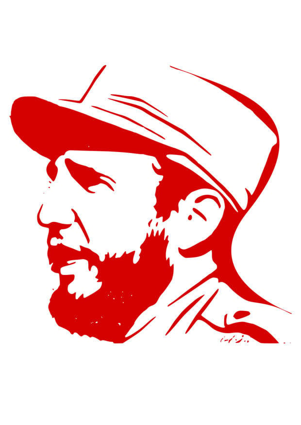 Afbeelding Fidel Castro