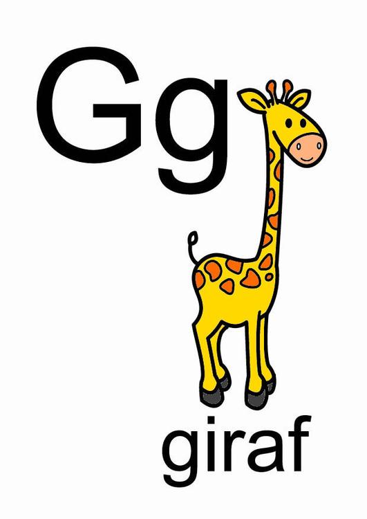 g