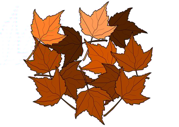 Afbeelding herfstbladeren 