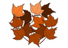 Afbeeldingen herfstbladeren 