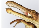 irritator dinosaurus