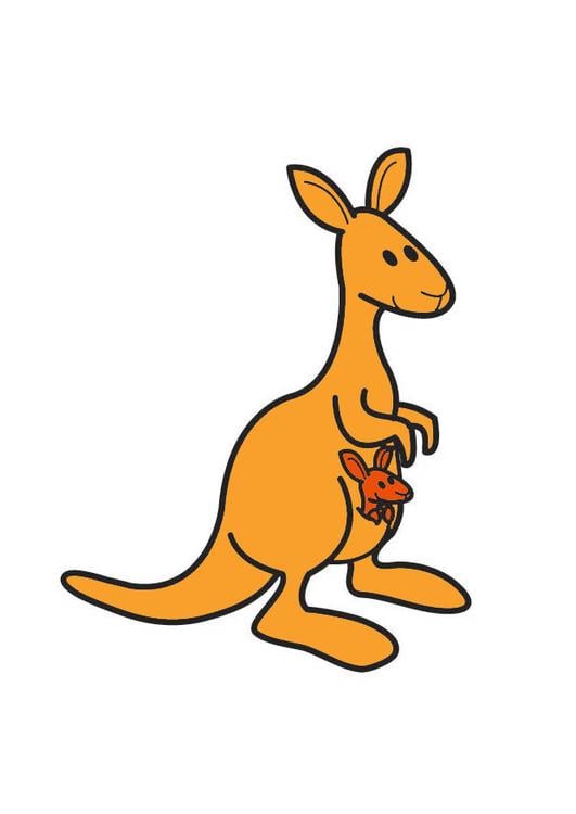 kangoeroe