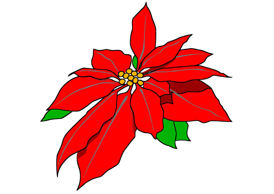 clipart rose de noel - photo #9