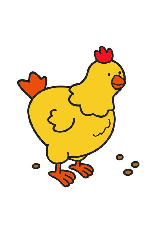 Afbeeldingsresultaat voor kip tekening