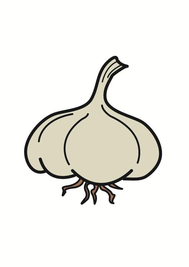 afbeelding knoflook grote