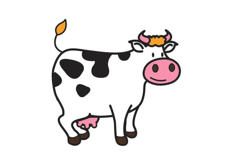 Afbeelding koe