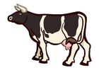 Afbeelding koe