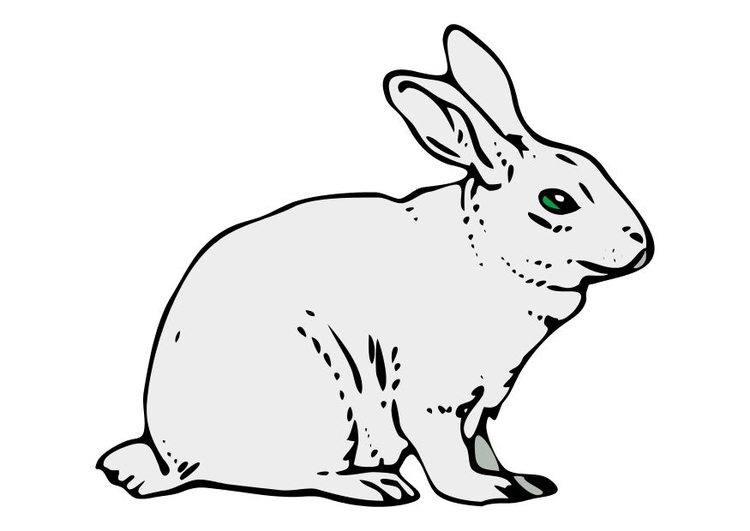 Afbeelding konijn