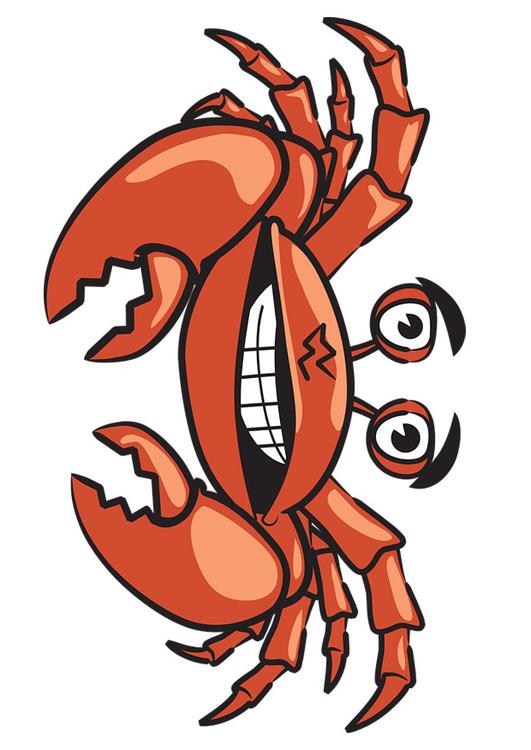 krab