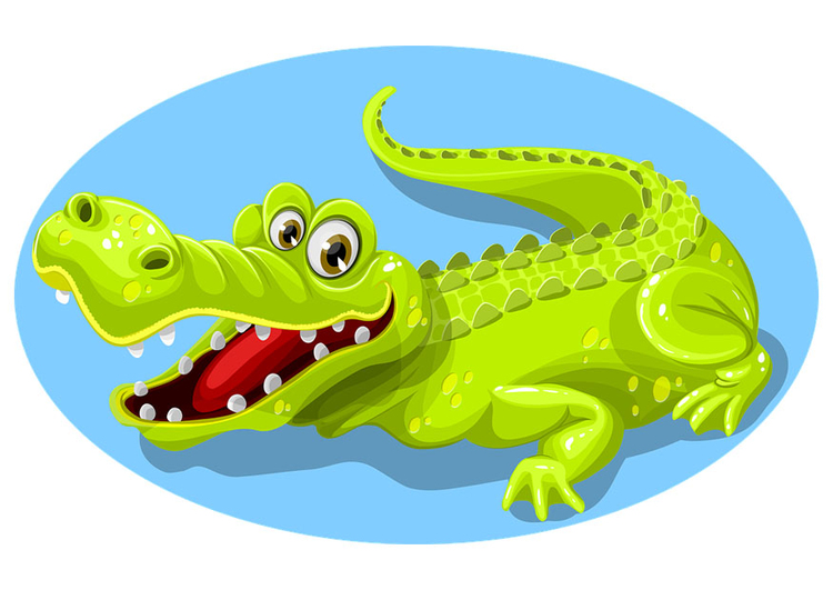 Afbeelding krokodil