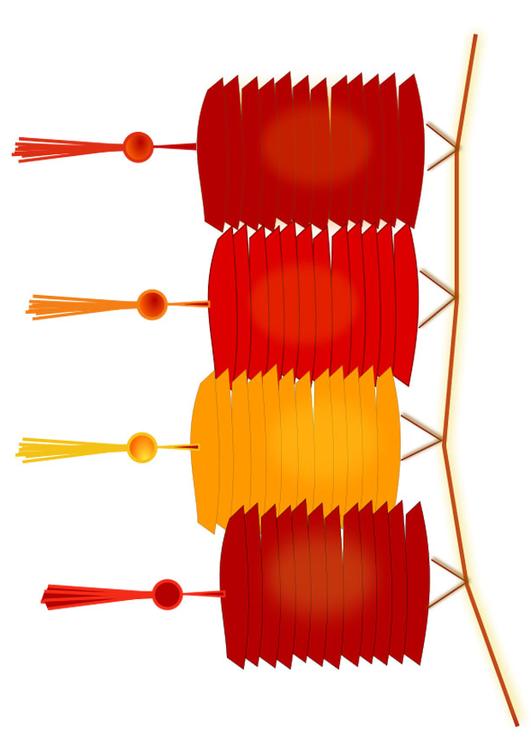 lampionnen