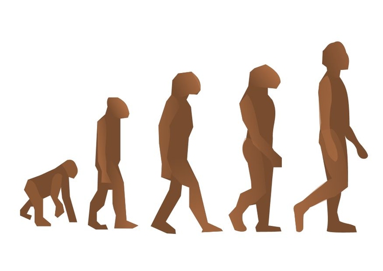 Afbeelding menselijke evolutie