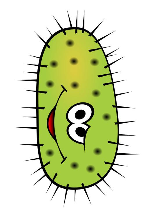 microbe 