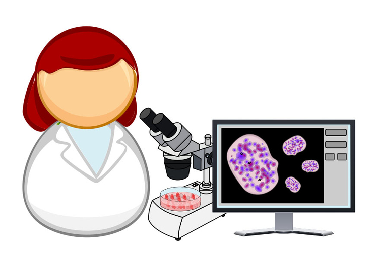 Afbeelding microbioloog