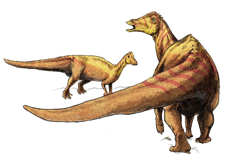Afbeelding nipponosaurus