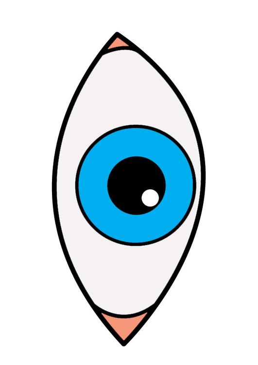 oog