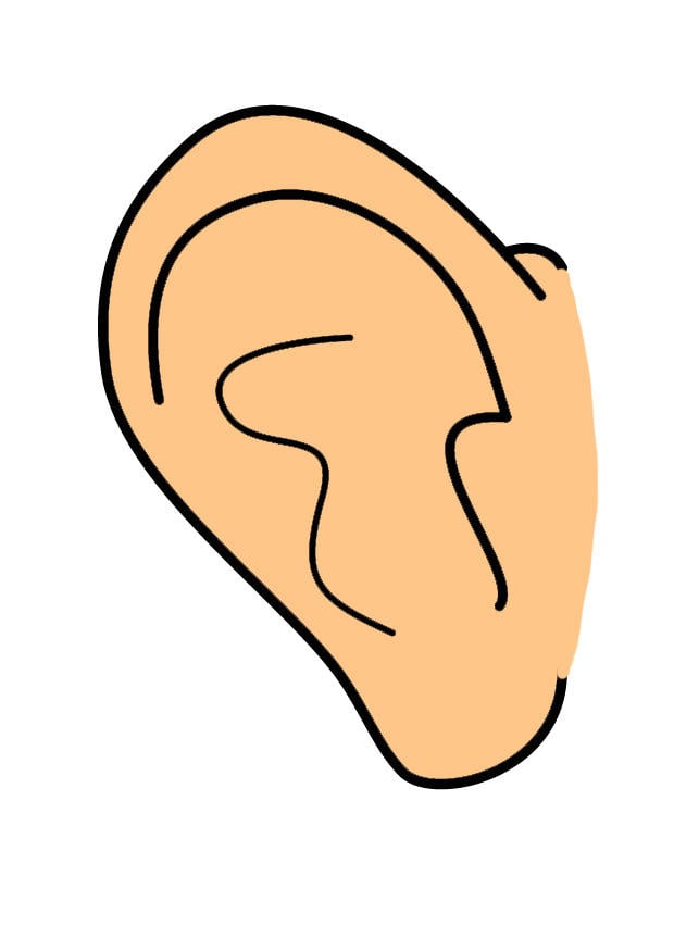 Afbeelding oor