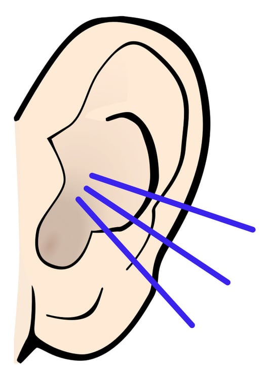Afbeelding oor - geluid 