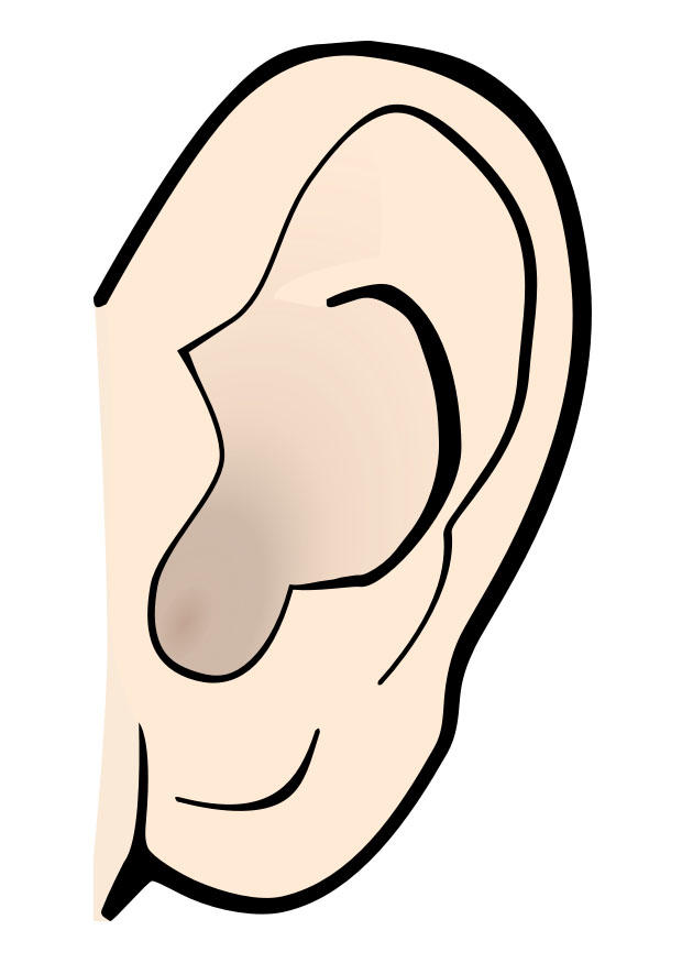 Afbeelding oor - stil