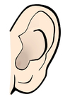 Afbeelding oor - stil