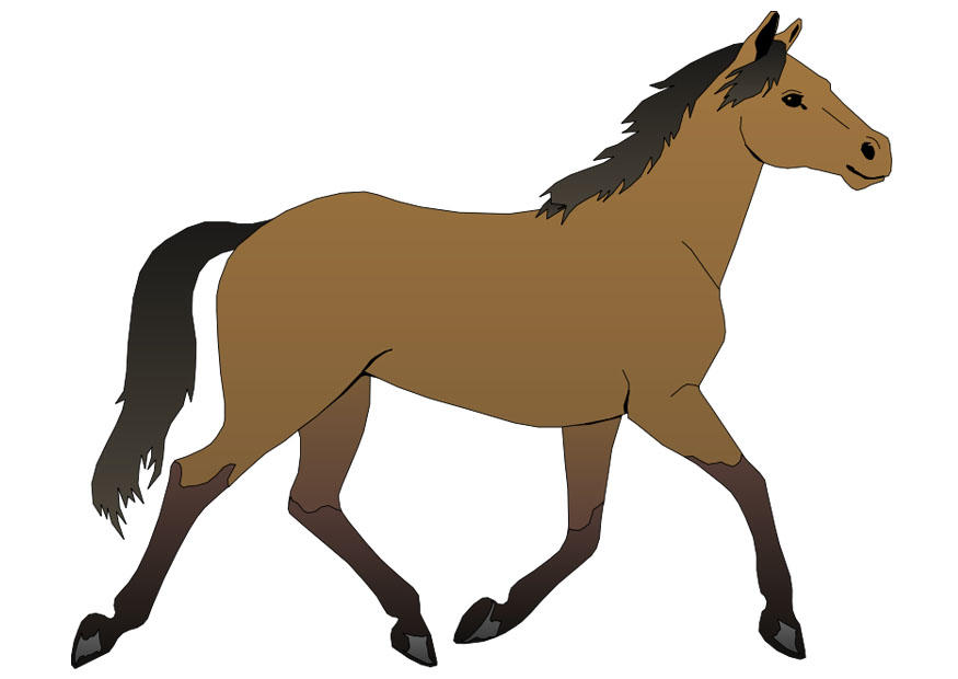 Afbeelding paard. Gratis afbeeldingen om te printen.