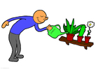 afbeelding planten water geven